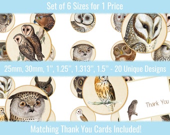 Vintage Owl Bottlecaps Buttons 1 inch, 25mm 30mm 1.25" 1.313" 1.5" Circle Images Digital Collage Printable Cabochons Bottle Caps Magnets