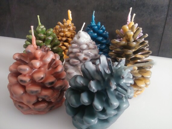 Fall scented pine cone fire starters | Etsy