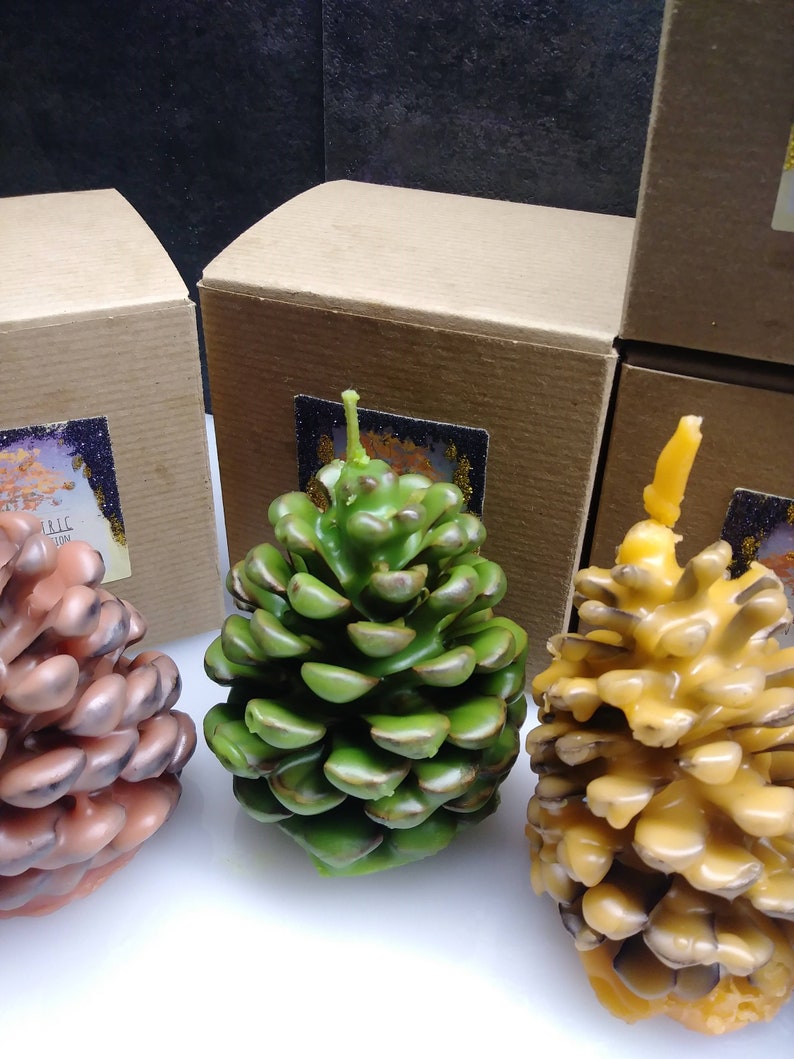 Fall scented pine cone fire starters Etsy