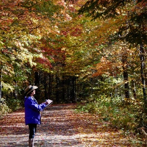 May include: A woman wearing a blue jacket and a hat stands on a path in a forest. The trees are mostly bare, but some have leaves in shades of red, orange, and yellow. The path is covered in fallen leaves.