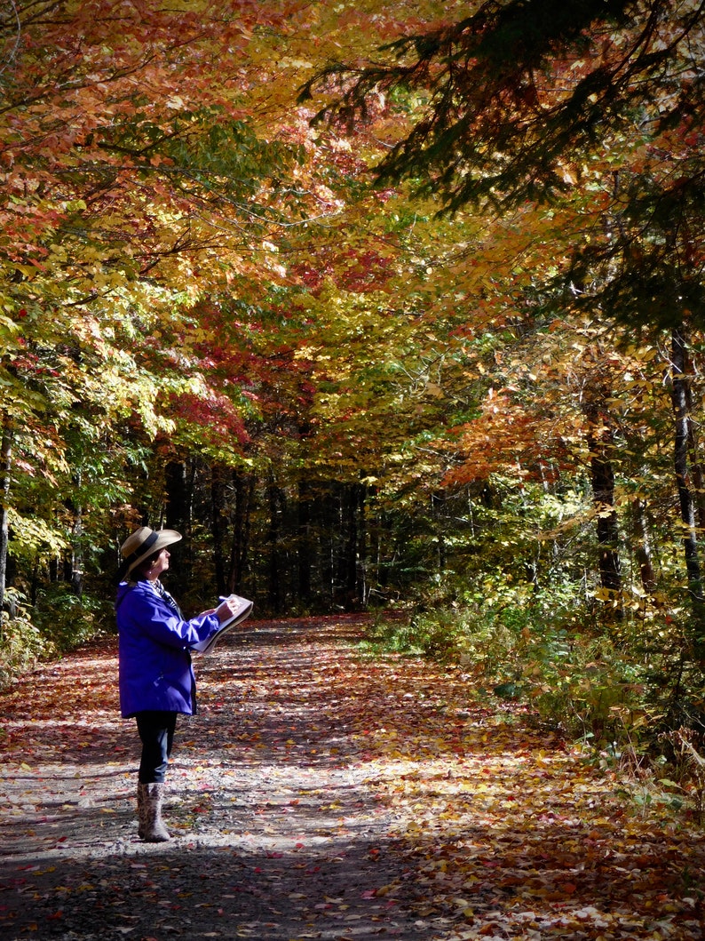 May include: A woman wearing a blue jacket and a hat stands on a path in a forest. The trees are mostly bare, but some have leaves in shades of red, orange, and yellow. The path is covered in fallen leaves.