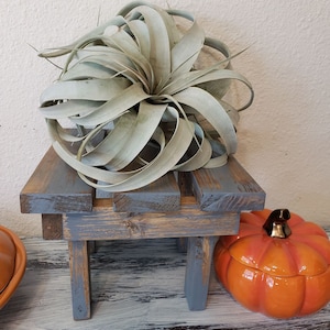 Handmade Rustic Plant Stand Indoor or Outdoor.