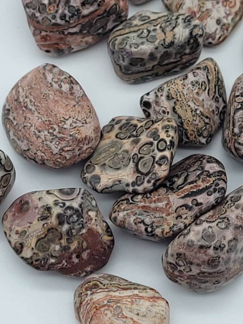 Leopard skin jasper ~ 1 medium tumbled stone