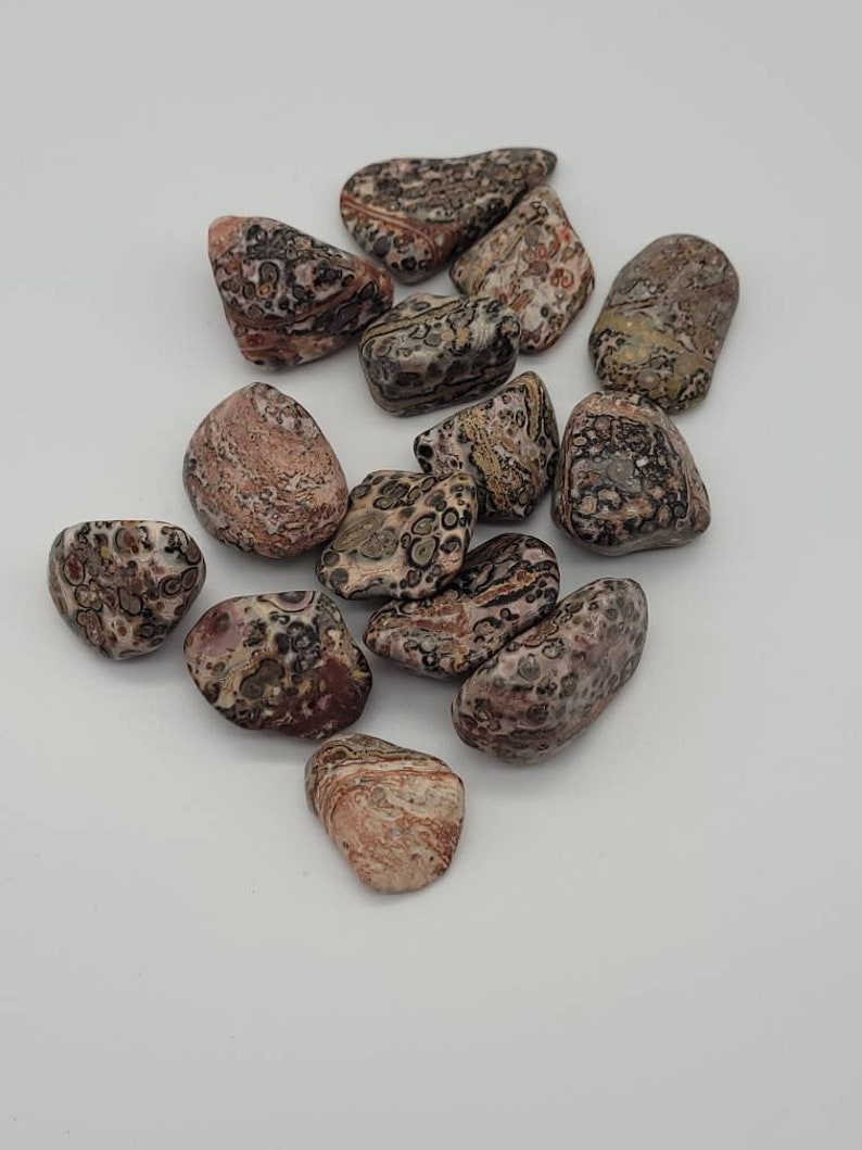 Leopard skin jasper ~ 1 medium tumbled stone