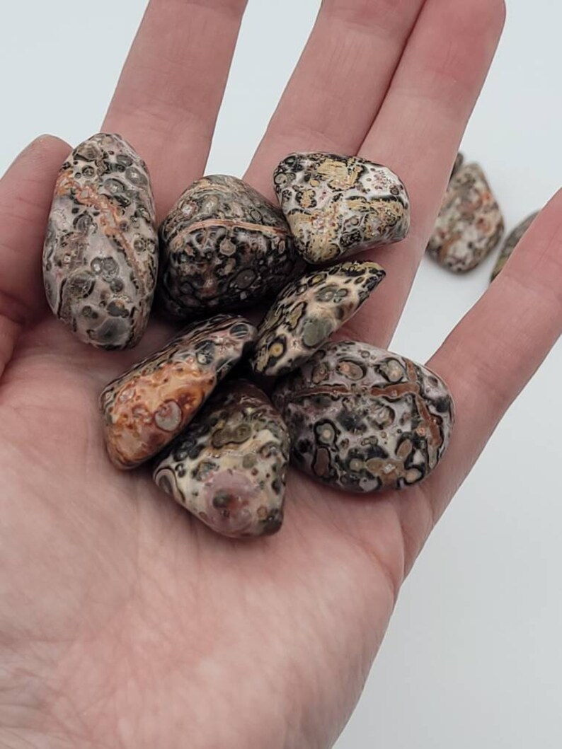 Leopard skin jasper ~ 1 medium tumbled stone