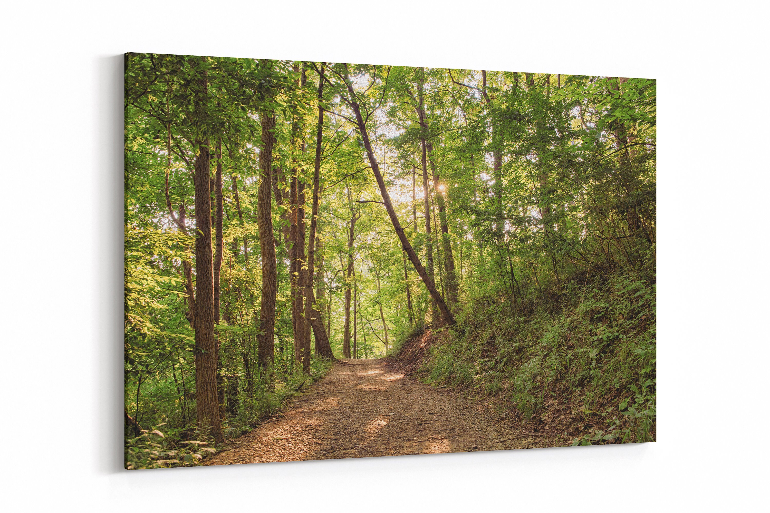 Forest Print Wall Art Photography Wall Decor Prints Canvas Home Decor