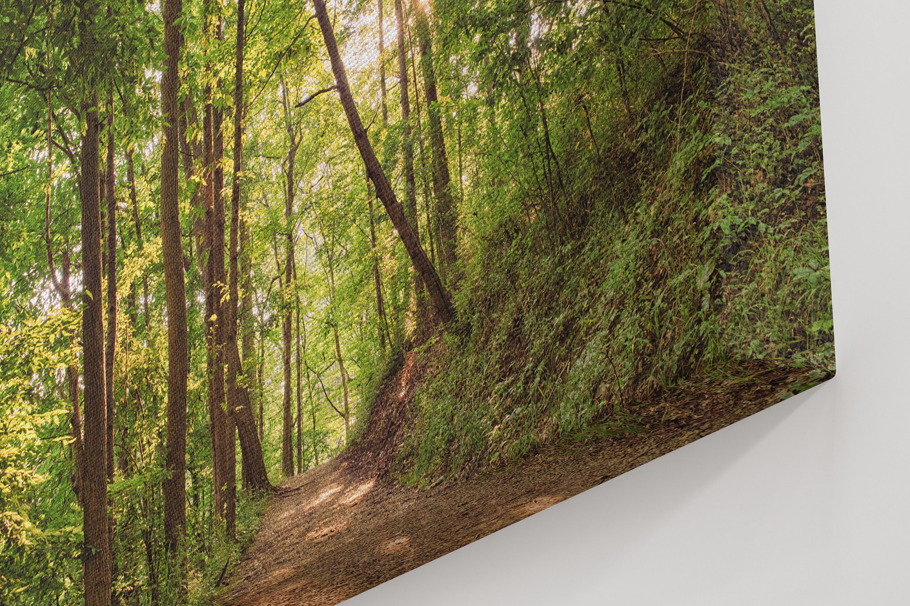 Forest Print Wall Art Photography Wall Decor Prints Etsy