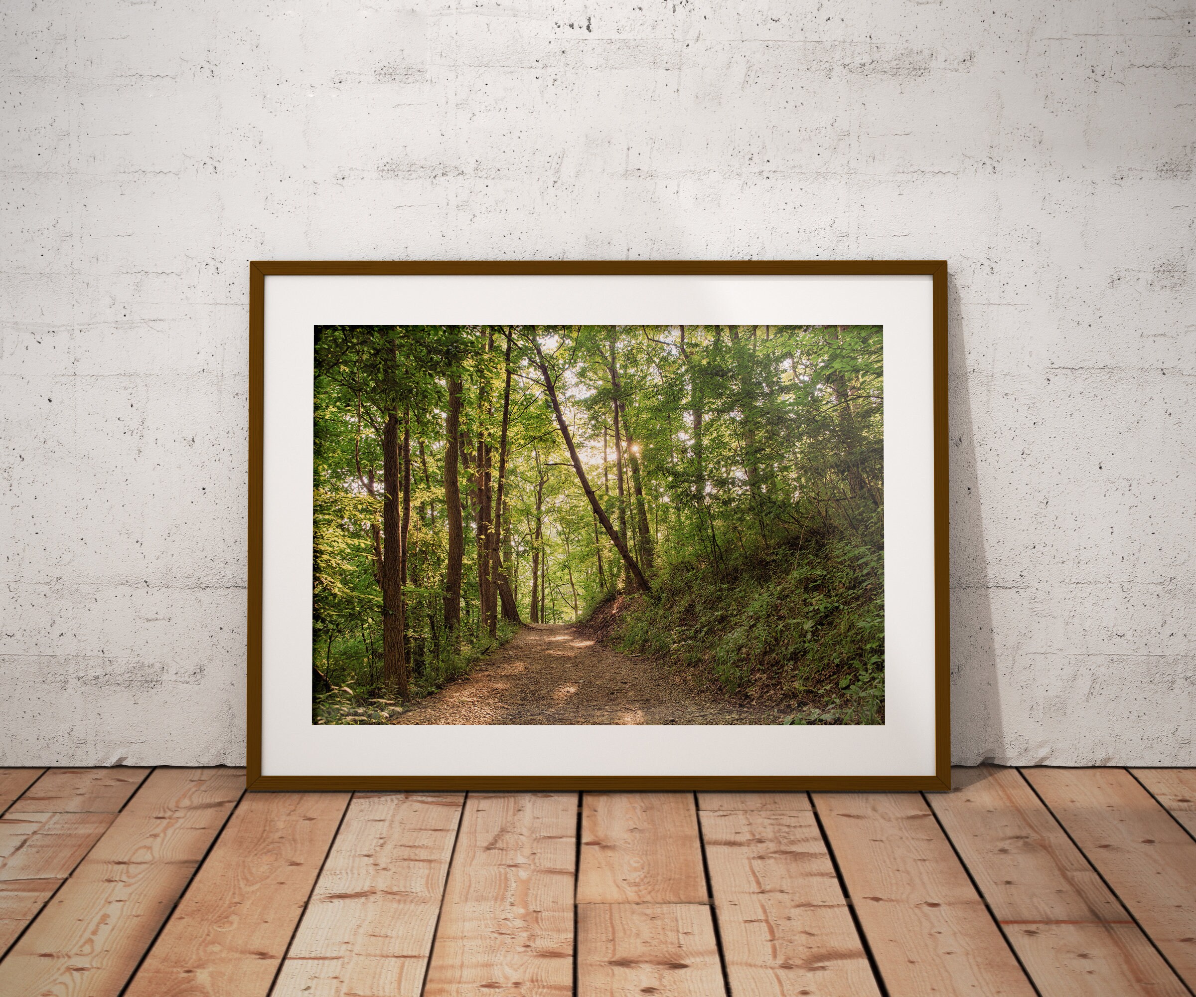 Forest Print Wall Art Photography Wall Decor Prints Etsy