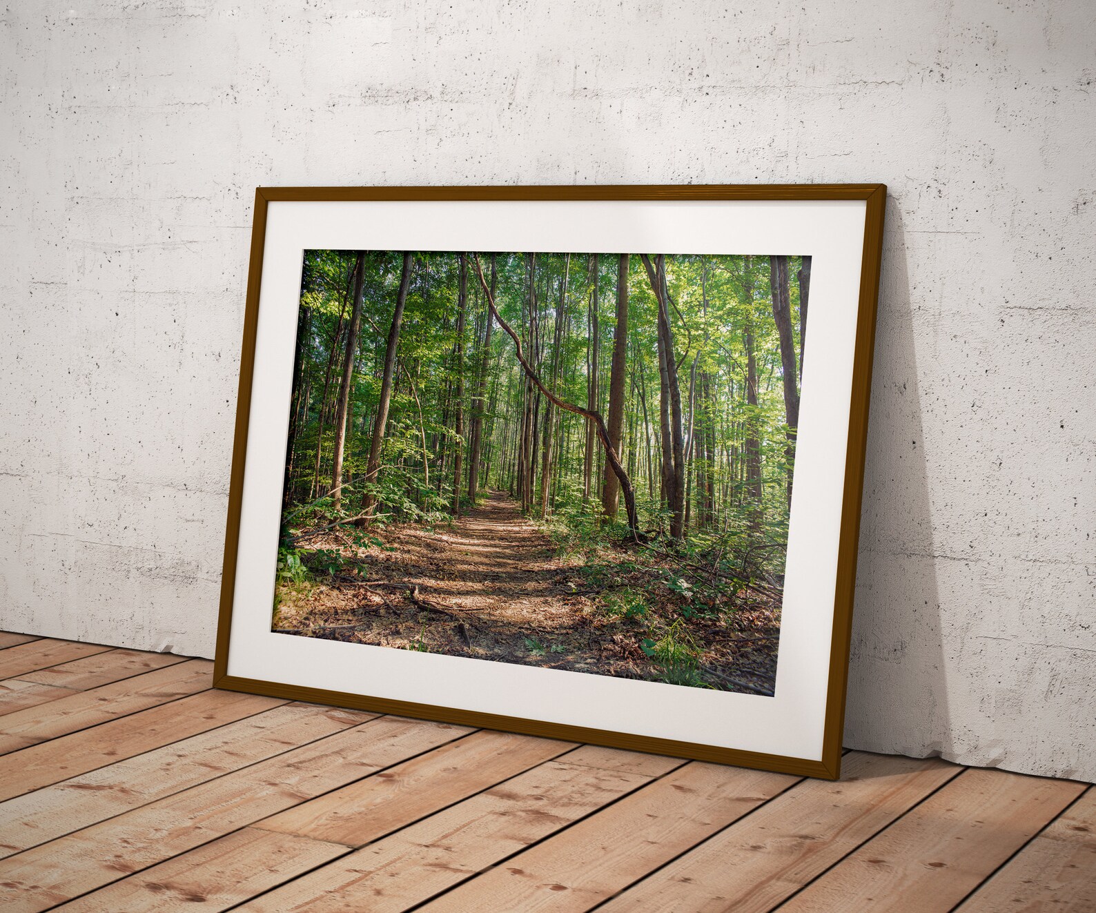 Forest Print Wall Art Photography Wall Decor Prints Canvas Home Decor