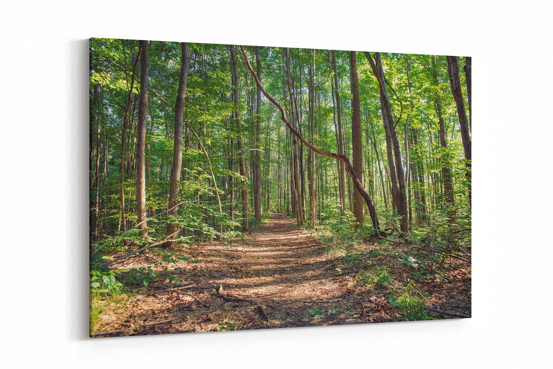 Forest Print Wall Art Photography Wall Decor Prints Canvas Home Decor