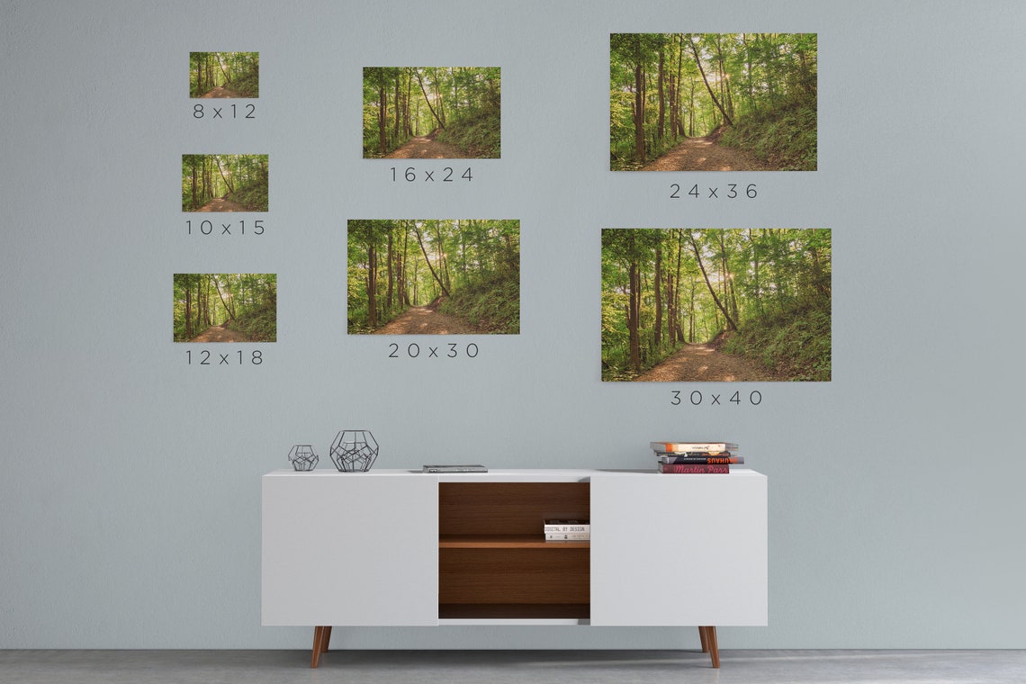 Forest Print Wall Art Photography Wall Decor Prints - Etsy