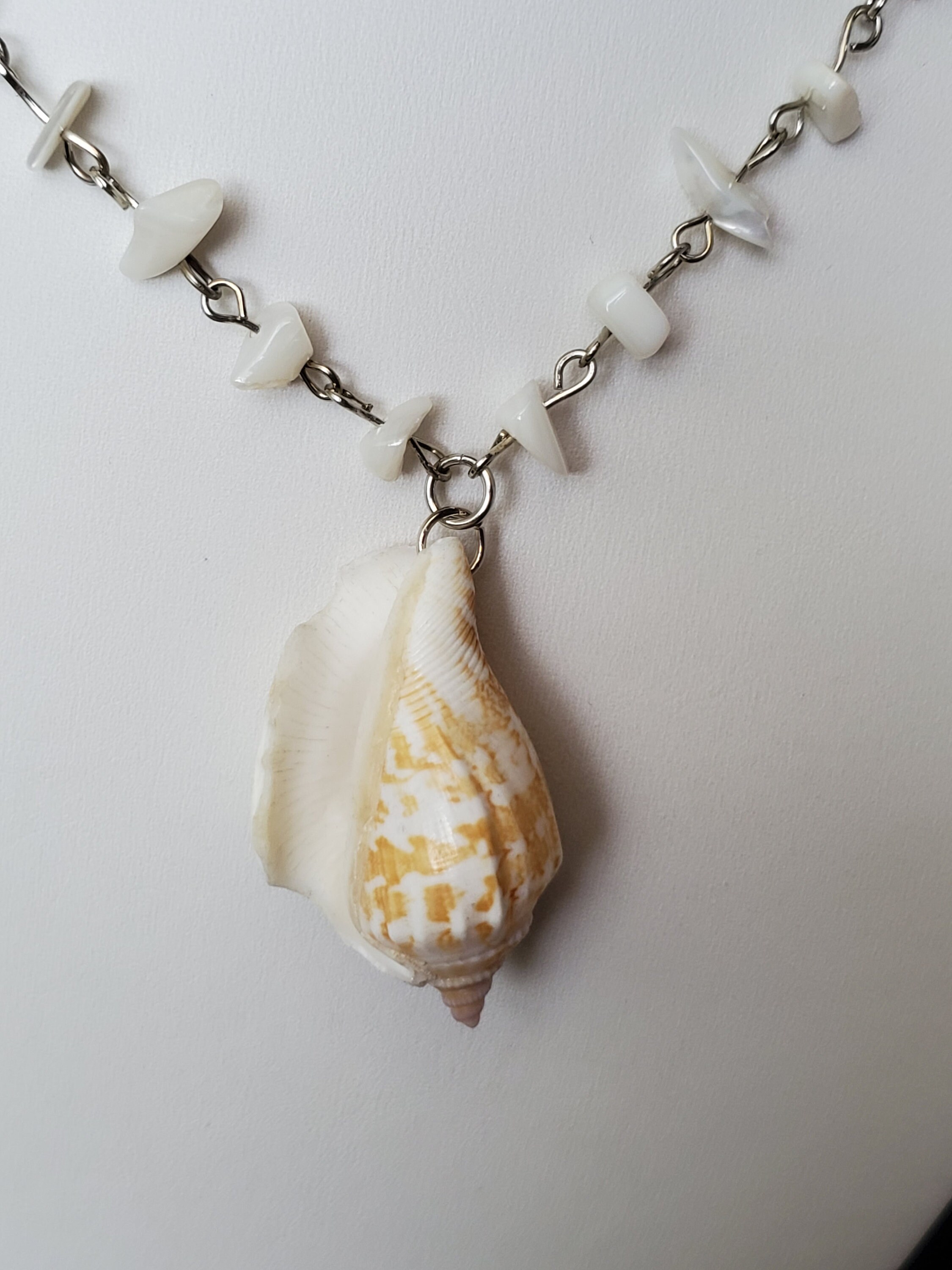 Conch Shell Necklace Mother of Pearl Chain Necklace Long - Etsy