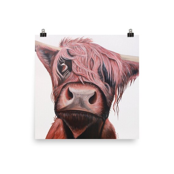 Highland Cow Art Print Scottish Long Haired Cow Etsy
