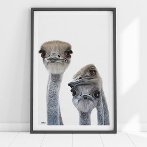 Emus Art. Ideal Nursery Wall Art. Nursery Animal Print. Australian Native.