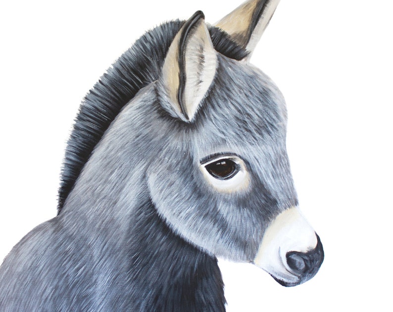 Baby Donkey Art Print. Grey Donkey Wall Art. Ideal Nursery Etsy