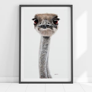 Emu Art Print.  Nursery Wall Art.  Animal art Print. Australian Native.