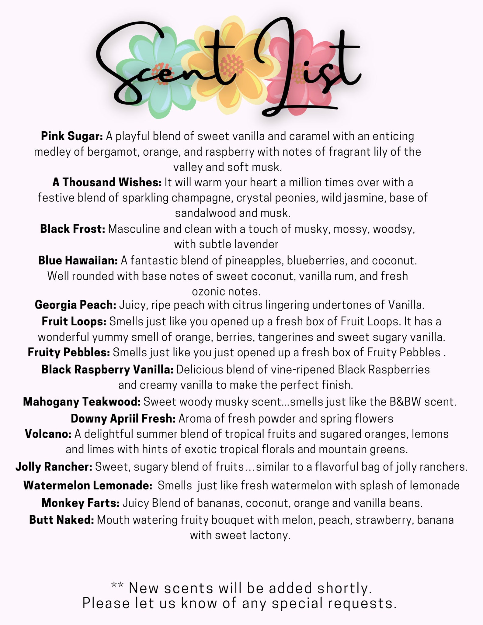 Freshie Starter Kit DIY Freshie Freshie Kit Aroma Bead Etsy