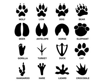 Download Animal Tracks Svg Etsy 3D SVG Files Ideas | SVG, Paper Crafts, SVG File