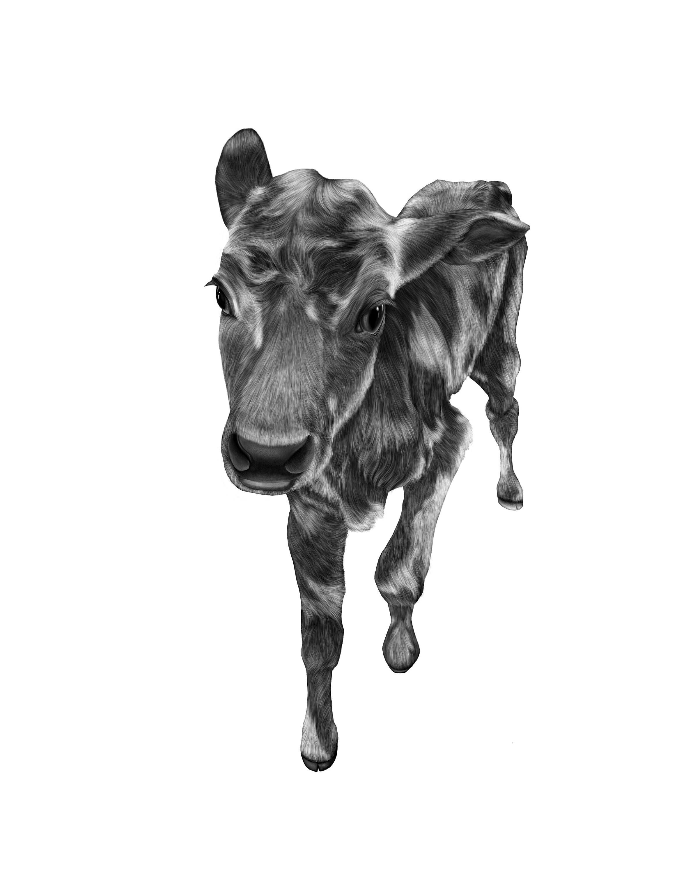 Vector Cow Round Sticker Cow Sticker - Etsy