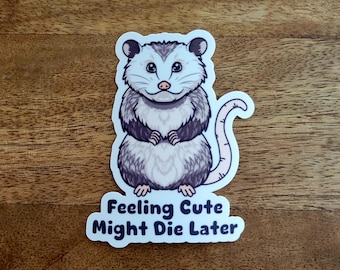 Op de afbeelding: Een witte sticker met een cartoonillustratie van een opossum met de tekst "Feeling Cute Might Die Later".