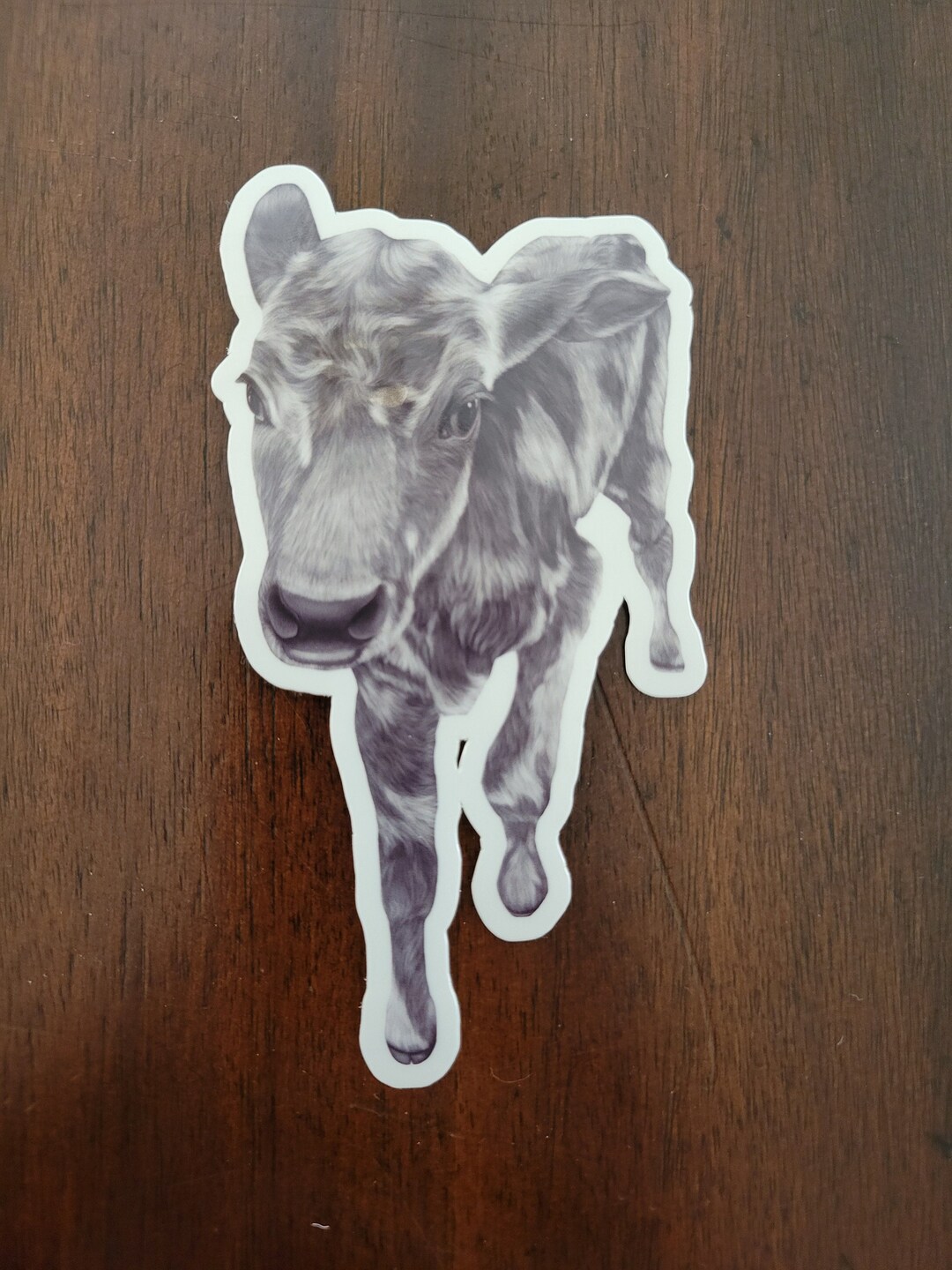 Cow Sticker - Etsy