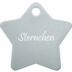 Dog tag STERN LARGE made of aluminum with individual laser engraving Gray