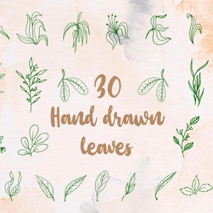 Hand Drawn Leaf SVG Bundle: Botanical Paper Cut Files (Digital Download)