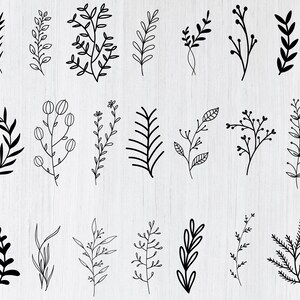 Floral SVG Mega Bundle: 250 Wildflower & Botanical Designs (Digital Download) image 3