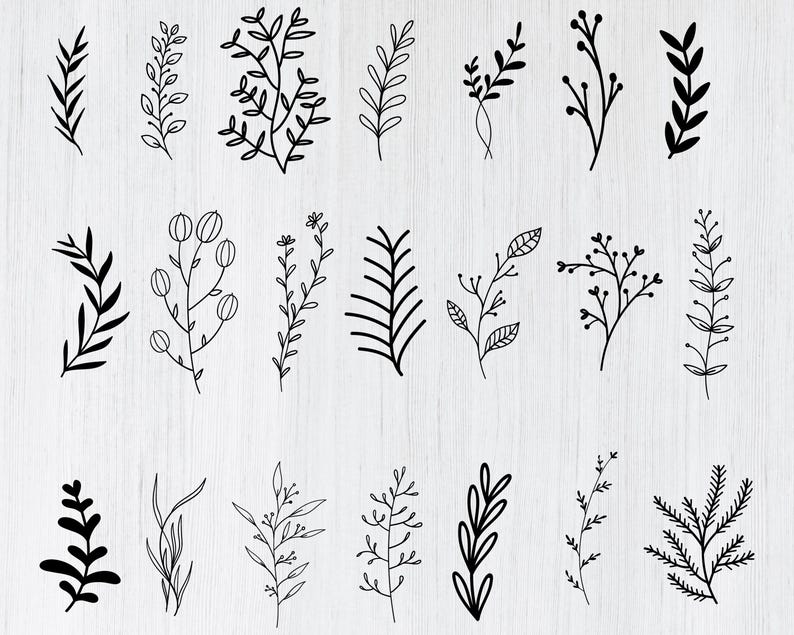 Floral SVG Mega Bundle: 250 Wildflower & Botanical Designs (Digital Download) image 3