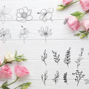 Floral SVG Mega Bundle: 250 Wildflower & Botanical Designs (Digital Download) image 4