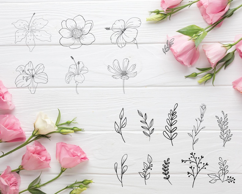 Floral SVG Mega Bundle: 250 Wildflower & Botanical Designs (Digital Download) image 4