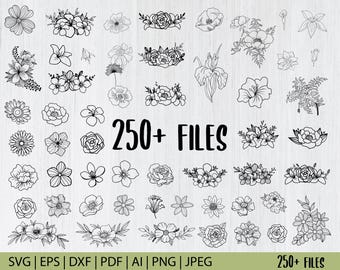 Paquete de flores SVG / Archivo de corte floral para Cricut / Diseños SVG de flores silvestres / Archivo PNG botánico / Clipart de flores / Margarita PNG