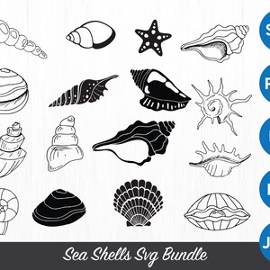 Könnte beinhalten: Schwarz-Weiß-Illustrationen von verschiedenen Muscheln und einem Seestern. Das Bild enthält den Text "Sea Shells Svg Bundle" sowie Schaltflächen für SVG, PNG, EPS, DXF und JPEG-Dateiformate.