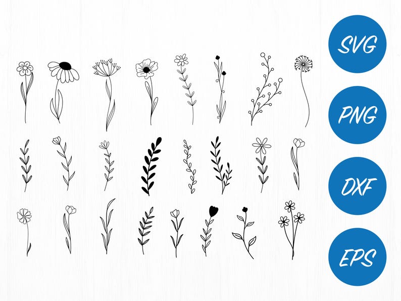 Wildflower SVG Bundle: Coquette Floral Sketch Cut Files image 5
