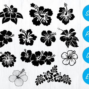 hibiskus svg bundle, hibiskus clipart, kwiat svg file, kwiat wektor, kwiatowy png, kwiatowe pliki cięte