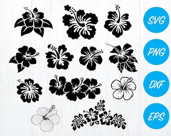 hibiscus svg bundle, hibiscus clipart, flower svg file, flower vector, floral png, floral cut files