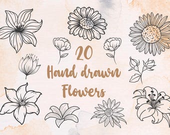 Paquete SVG de flores dibujadas a mano: imágenes prediseñadas florales, diseños de plantas (archivos digitales)