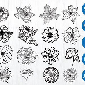 Fichier de coupe SVG fleurs dessinées à la main, Silhouette de fleurs, lot de png de fleurs clipart, fichier de coupe svg floral cricut