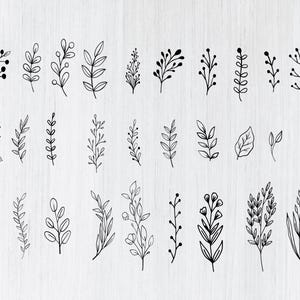 Floral SVG Mega Bundle: 250 Wildflower & Botanical Designs (Digital Download) image 2