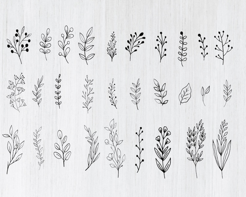 Floral SVG Mega Bundle: 250 Wildflower & Botanical Designs (Digital Download) image 2