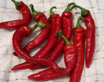 Sweet "Jimmy Nardello" Italian Pepper Seeds