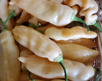 Sugar Rush Peach Pepper Seeds