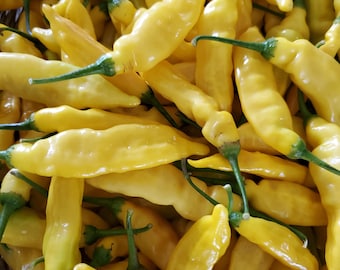 Lemon Drop Pepper Seeds