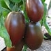 see more listings in the Tomato Seeds section