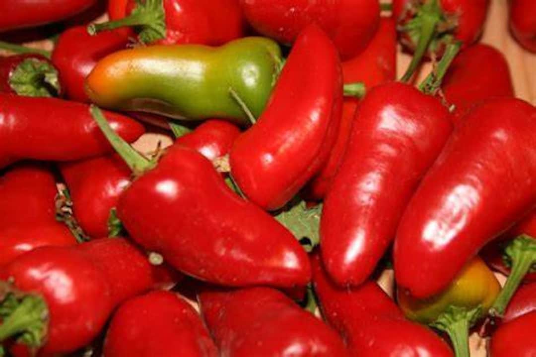 Fresno Pepper Seeds Etsy