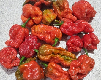 Dragon's Breath Pepper Seeds