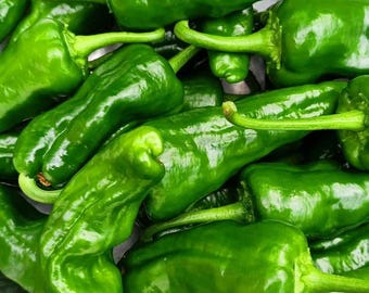 May include: A close-up of a pile of green bell peppers. The peppers are smooth and shiny, and they are all arranged in a random pattern.