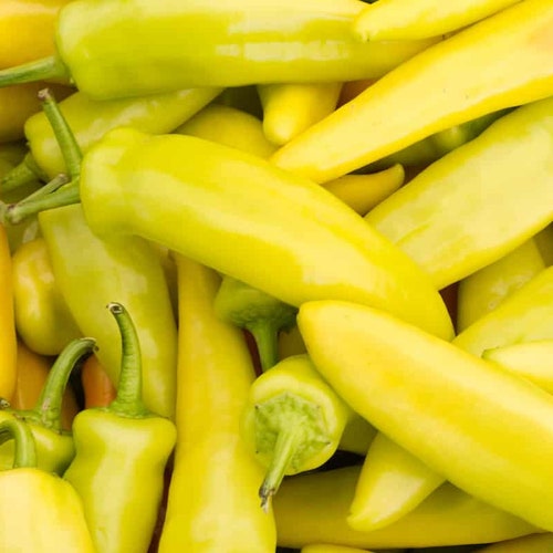 Hungarian Wax Pepper Seeds Etsy