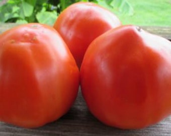 Italian Heirloom Tomato Seeds