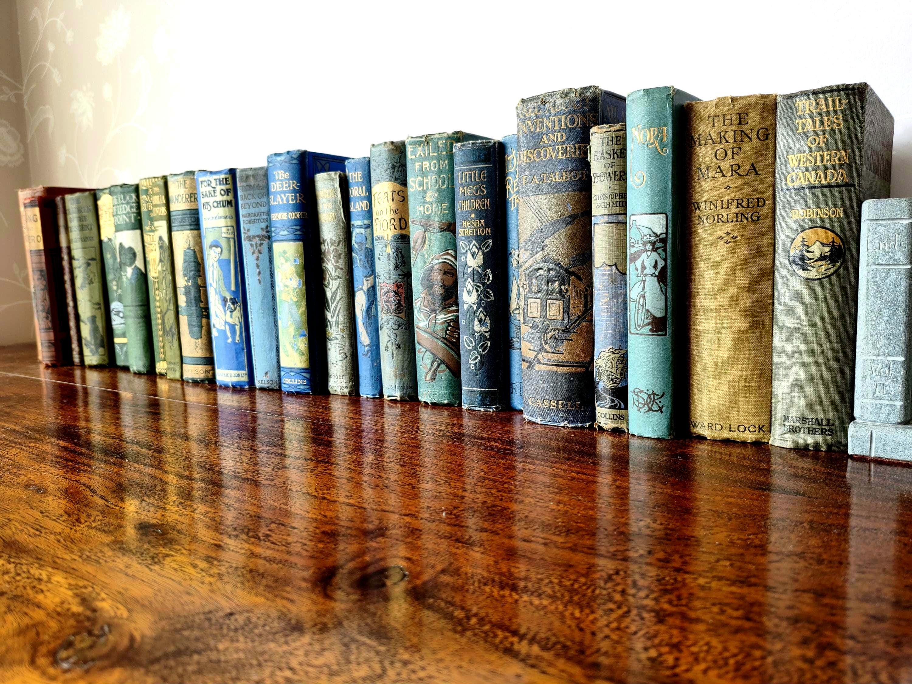 Blue and Gold Decorative Books - Etsy